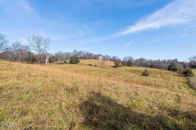 Tbd Birds Eye View Lot 1, Jonesborough, TN 37659 - photo 7