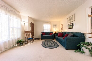 Carpeted living area with a textured ceiling