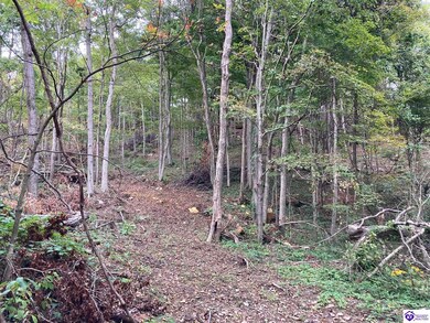 1633 Boone Hollow Rd, Battletown, KY 40104 - photo 4