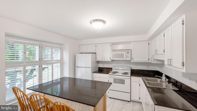 110 Smithfield Ct, Walkersville, MD 21793 - photo 6