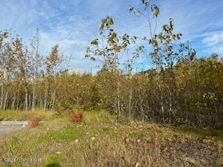 000 Anchorage, Anchorage, AK 99503 - photo 3