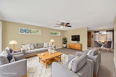 2025_09_05_2739_ne_cordata_Dr-stage-7