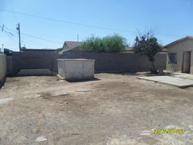 BACKYARD 1