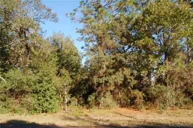 8815 N Tempest Dr, Citrus Springs, FL 34433 - photo 2