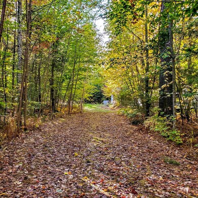 406 Ladd Rd, Mercer, ME 04957 - photo 3