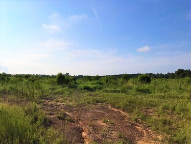 Tract 4 Mosley Rd, Uvalda, GA 30473 - photo 2