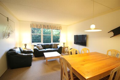 28 Packards Rd unit 406, Waterville Valley, NH 03215 - photo 2