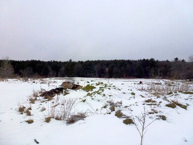 field view2
