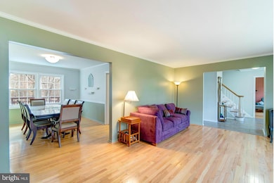 10101 Tamarack Dr, Vienna, VA 22182 - photo 6