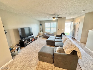 117 Fall Lake Ln, Amherst, OH 44001 - photo 3