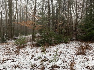 Cleared for Building Site