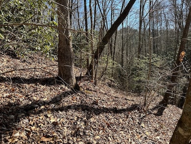 LT 7 Valley View Heights Ln, Andrews, NC 28901 - photo 6