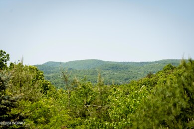 1135 Checkerberry Ln, Lock Haven, PA 17745 - photo 5