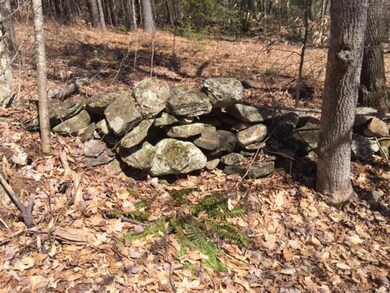 0 Upper Podunk Rd unit 4474759, Wardsboro, VT 05360 - photo 6
