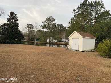 back yard