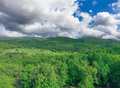 267 Alto Rd, Vesuvius, VA 24483 - photo 5