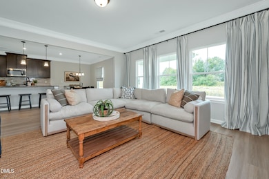 224 Beta Ct, Sanford, NC 27330 - photo 3