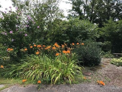 Late summer gardens