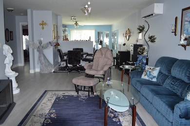 Living room and dining room