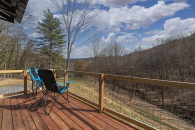 1922 Coffeytown Rd, Vesuvius, VA 24483 - photo 5