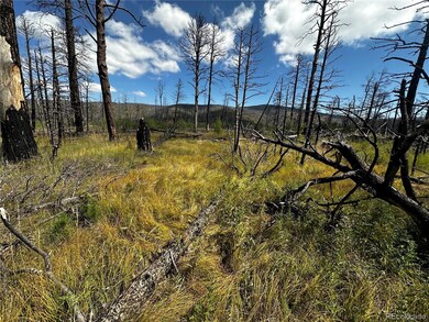 1175-1176 Macomber Ln unit 1175-1176, Fort Garland, CO 81133 - photo 5