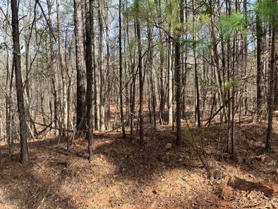 0 N Rivoli Farms Dr unit 143897, Macon, GA 31210 - photo 3