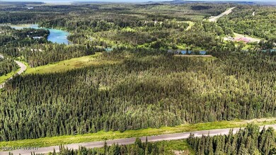 L1 Kasilof River Rd, Cohoe, AK 99610 - photo 5