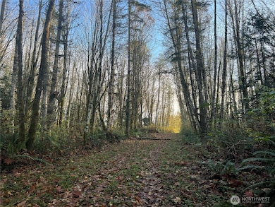 1 XX View Dr NE, Poulsbo, WA 98370 - photo 4