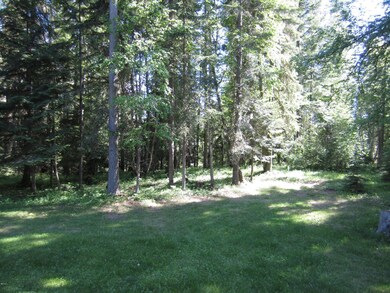 155 Marken Ln, Big Fork, MT 59911 - photo 5