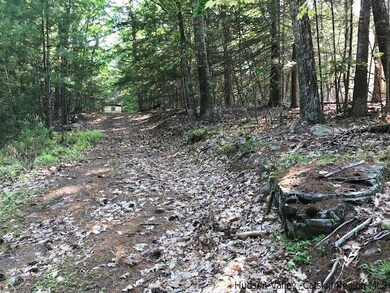 611 Buck Rd, Stone Ridge, NY 12484 - photo 2