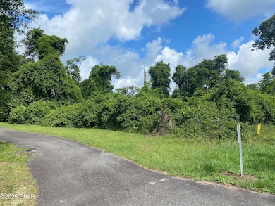 0000 Magnolia Blossom Ln unit 2, Marianna, FL 32446 - photo 3