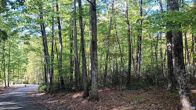 0 Oakcrest Ln unit 3, Rockfish, VA 22958 - photo 3