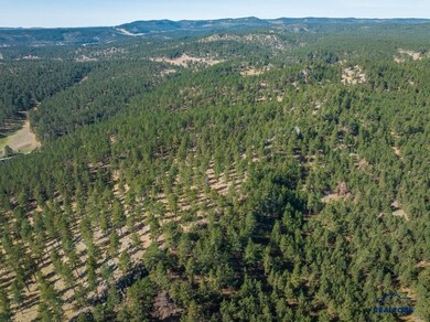 TBD Wind Dance Rd unit TBD Wind Dance Ranch, Custer, SD 57730 - photo 4