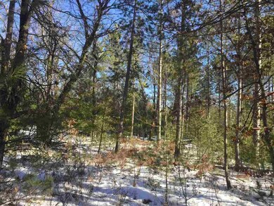 L41 Cranberry Creek Rd, Cutler, WI 54618 - photo 6