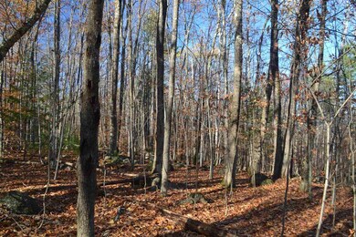 250 Chemung Rd, Meredith, NH 03253 - photo 4