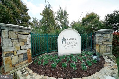 42232 Terrazzo Terrace, Stone Ridge, VA 20105 - photo 2