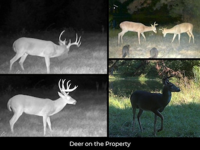 1166 County Road 2060, Hardin, TX 77564 - photo 2