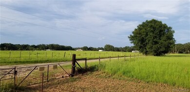 0 Sutton Oaks Ln unit 780622, Zephyrhills, FL 33541 - photo 4