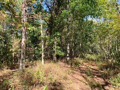 0 Bethel Rd, Prospect, TN 38477 - photo 7