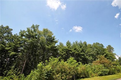 11 & 12 Spruce Tree Ct unit 15 & 19, Leicester, NC 28748 - photo 6