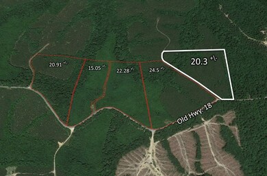0 Old Highway 18 unit RTC2588344, Stewart, TN 37175 - photo 2