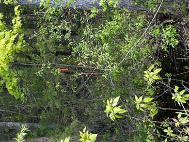 0 62nd St, Grand Junction, MI 49056 - photo 7