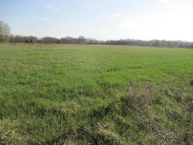 1107 N Walnut St, Kirksville, MO 63501 - photo 3