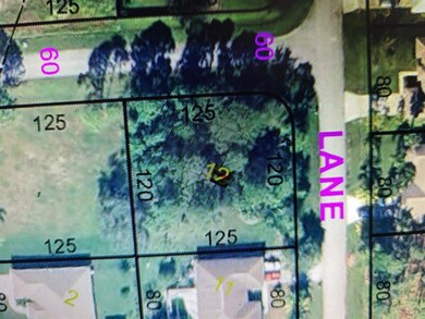 1702 SW Victor Ln, Port Saint Lucie, FL 34984 - photo 3