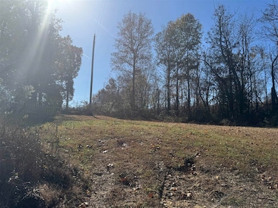 4555 Logansport Rd, Morgantown, KY 42261 - photo 7