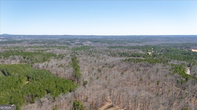 0 Snote Jones Rd unit 10651187, Dallas, GA 30132 - photo 6