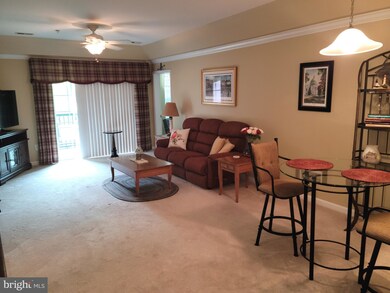 8607 Wintergreen Ct unit 405, Odenton, MD 21113 - photo 6