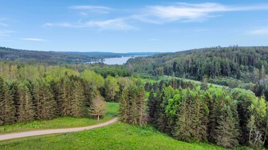dji_fly_20250712_201148_66_1752365516465
