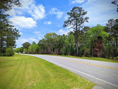 View to the North along HWY 313 from Driveway