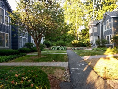 31 Amity Place, Amherst, MA 01002 - photo 2